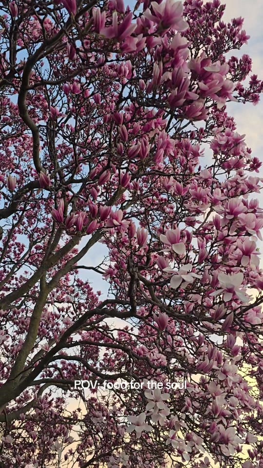 Post 1 by fifilives on TikTok (video)