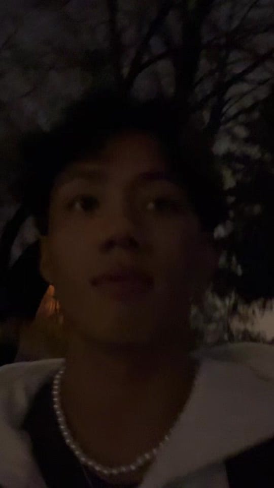Post 9 by L🍃 on TikTok (video)