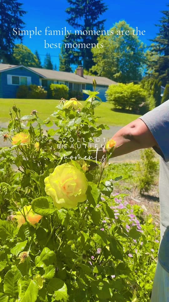 Post 2 by Eyu 🚗 ALL Insurance & Realtor on TikTok (video)