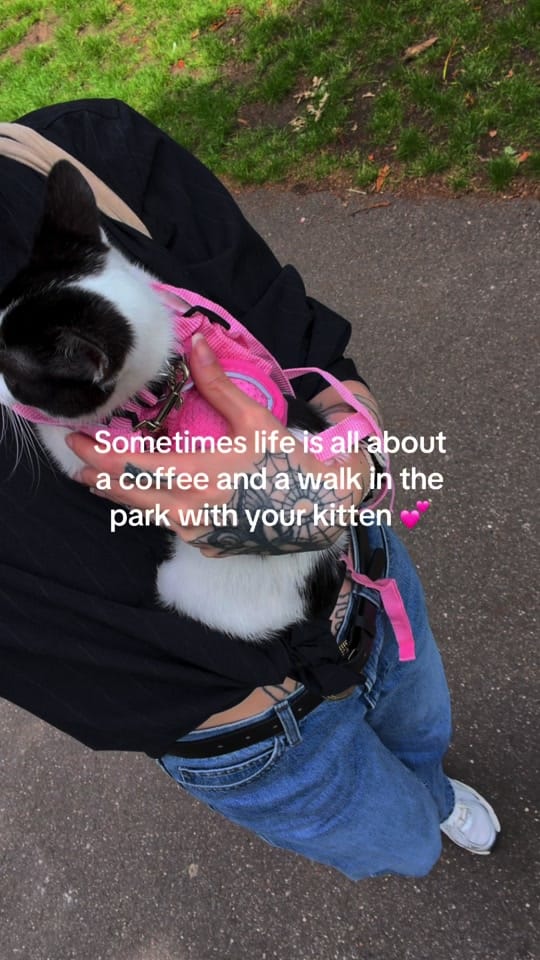 Post 1 by Kate ☕️✨💌 on TikTok (video)