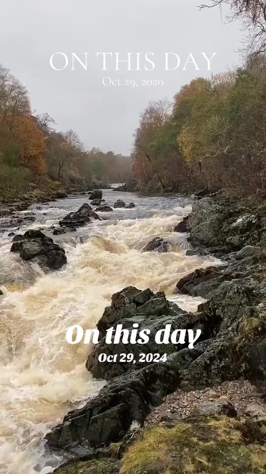 Post 3 by Tracey Bruce on TikTok (video)