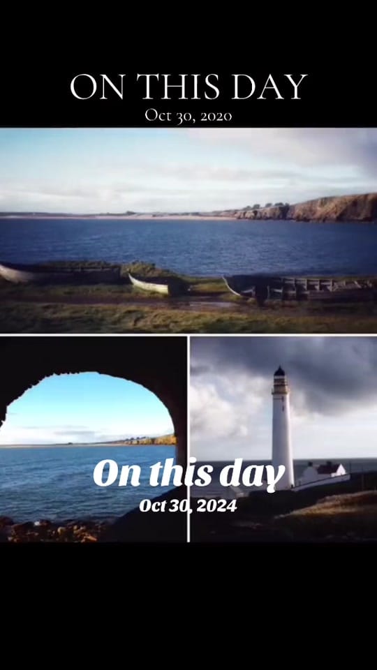 Post 2 by Tracey Bruce on TikTok (video)
