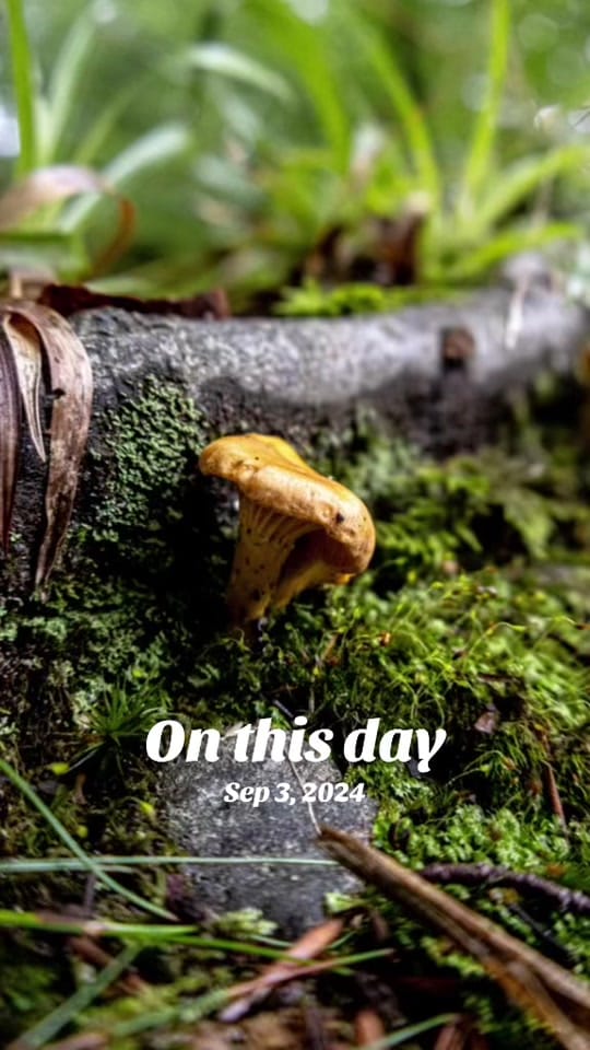 Post 9 by Tracey Bruce on TikTok (video)