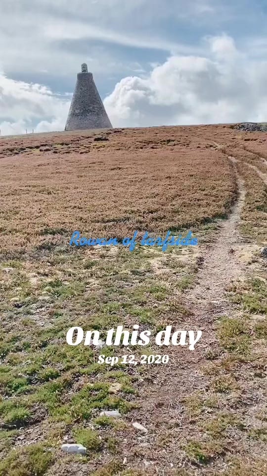 Post 8 by Tracey Bruce on TikTok (video)