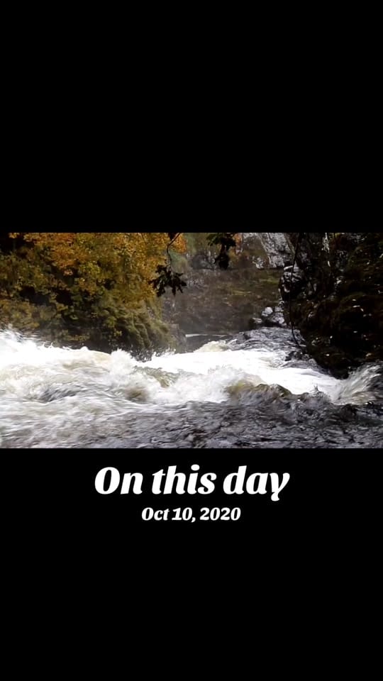 Post 6 by Tracey Bruce on TikTok (video)