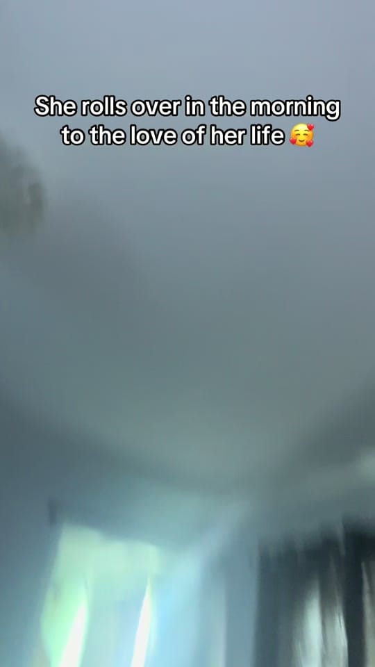 Post 1 by Hollie Henderson on TikTok (video)