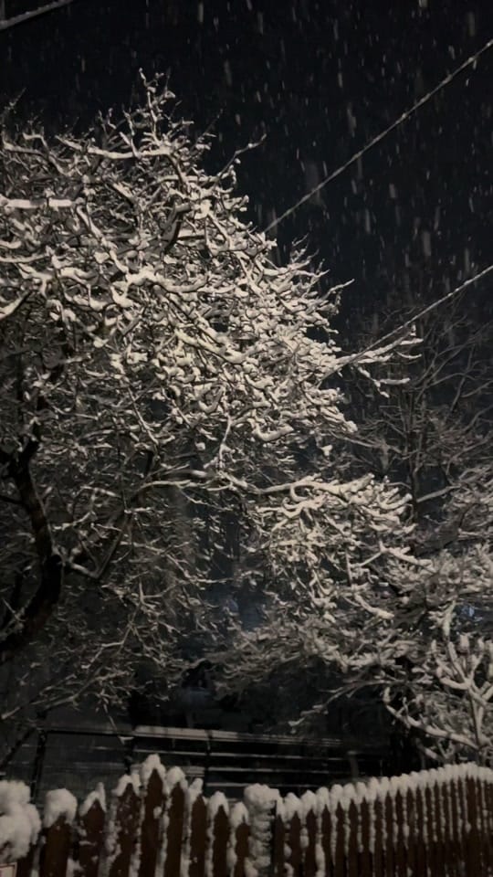 Post 7 by Mihai Lucescu on TikTok (video)