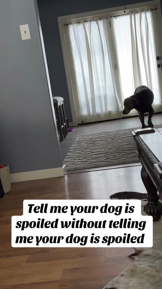 Post 2 by B.Paige on TikTok (video)