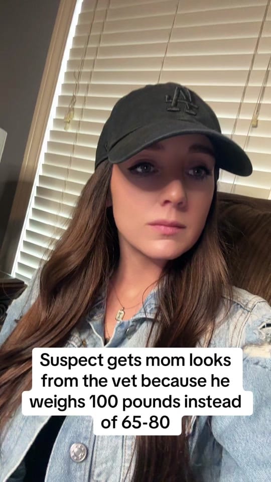 Post 8 by B.Paige on TikTok (video)
