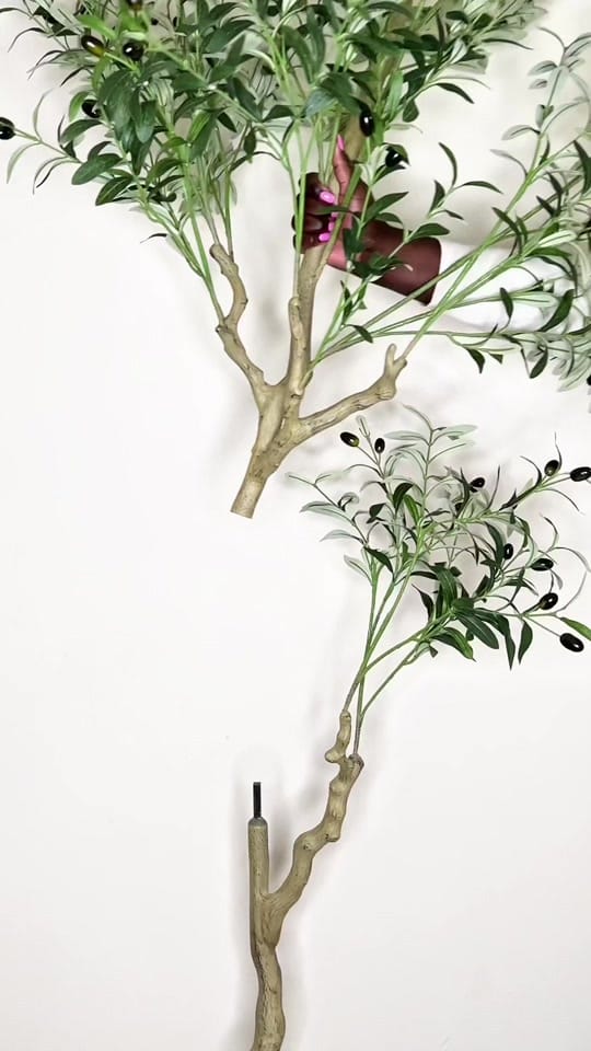 Post 7 by SUNDAY on TikTok (video)