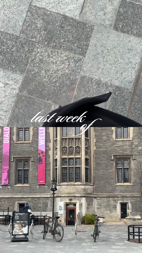 Post 4 by susanna on TikTok (video)