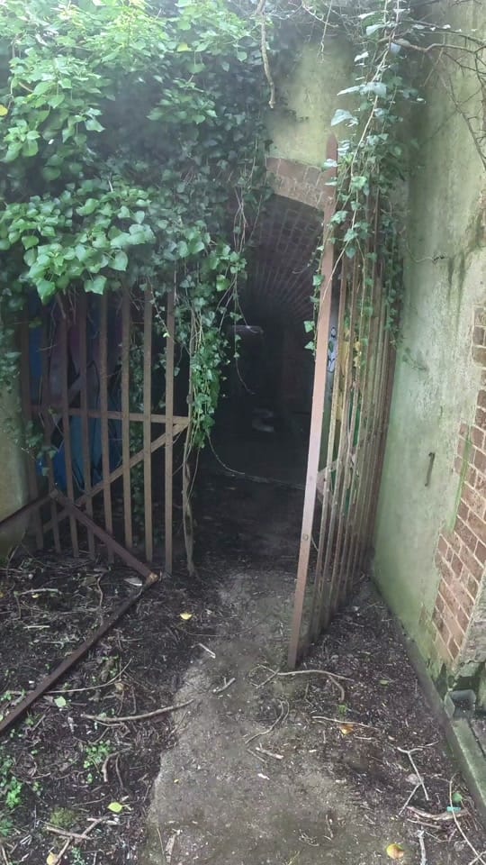 Post 4 by Forgotten & Forbidden Explores on TikTok (video)