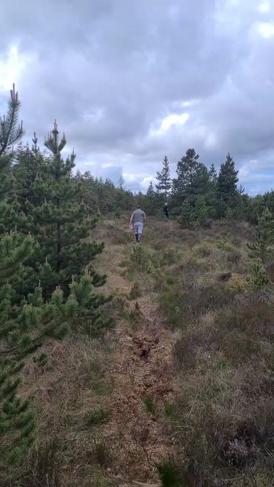 Post 8 by Forgotten & Forbidden Explores on TikTok (video)