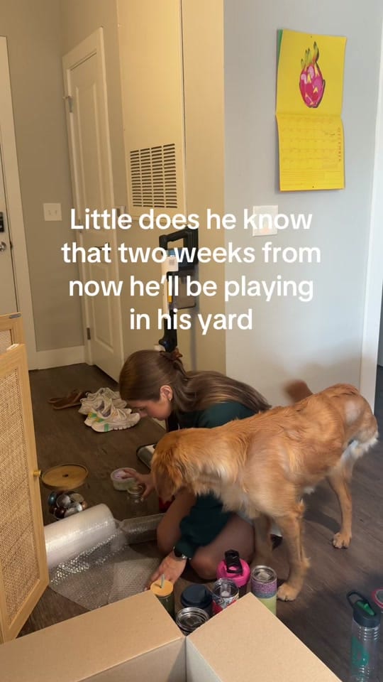 Post 2 by Lacey on TikTok (video)