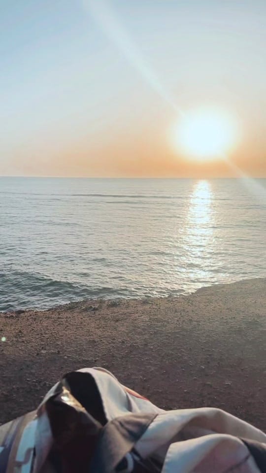 Post 7 by jacie_zook on TikTok (video)