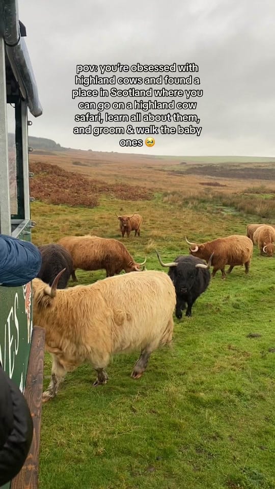 Post 10 by Jodie’s food & travels on TikTok (video)