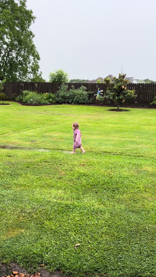 Post 3 by Atlanta Doucet 🌸 on TikTok (video)