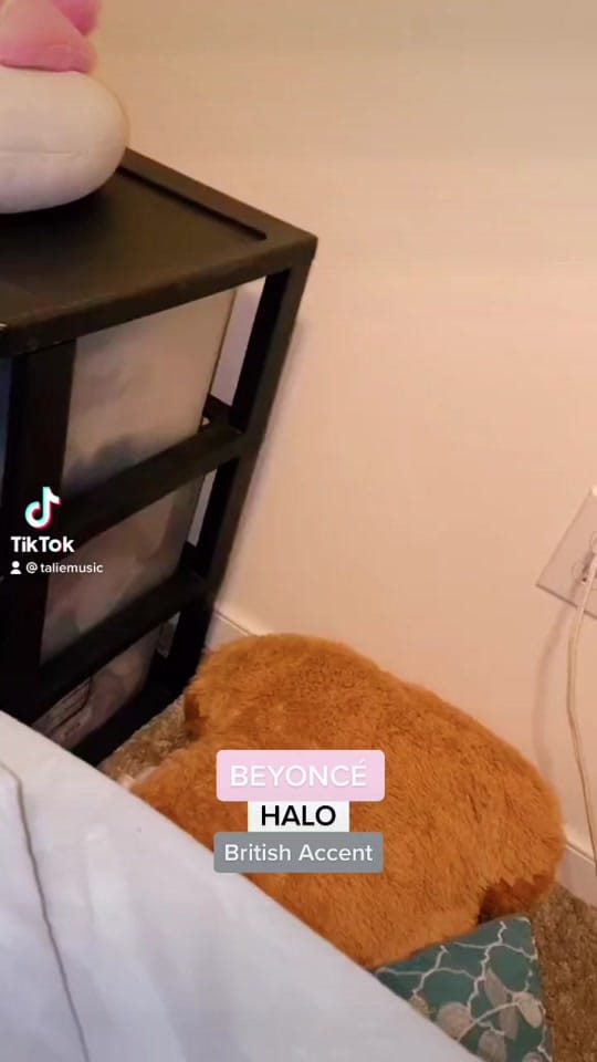 Post 8 by Talie on TikTok (video)