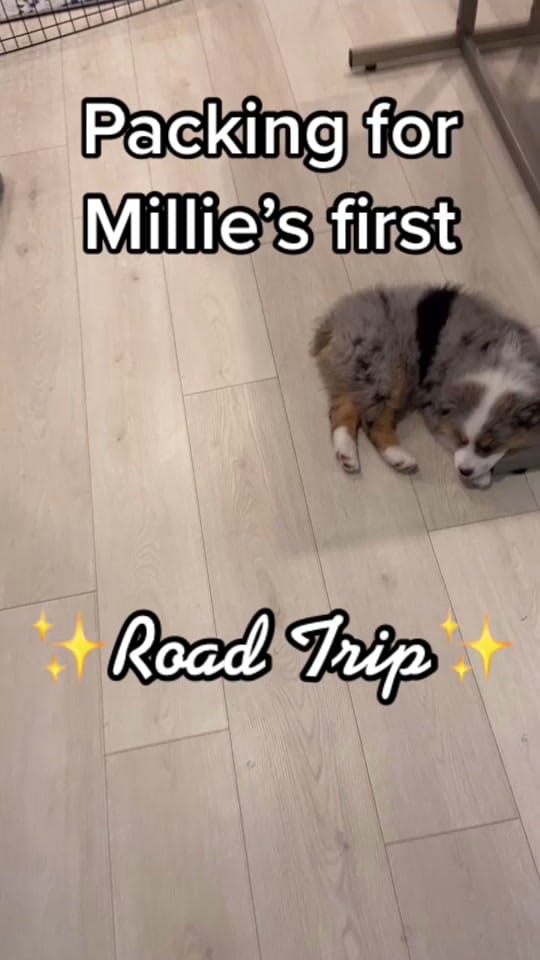 Post 10 by Paige Farrell | Toddler Mom on TikTok (video)