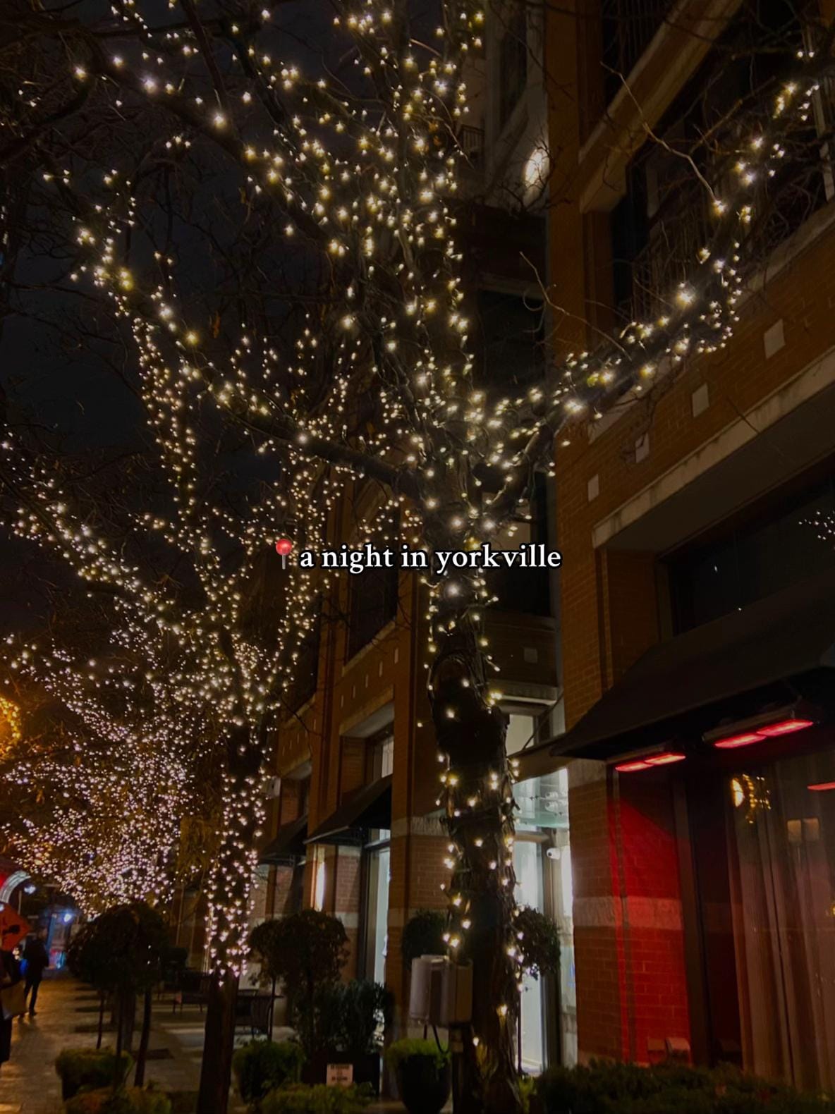 Post 6 by abzhara ✨🌸👑🌷 on TikTok (video)