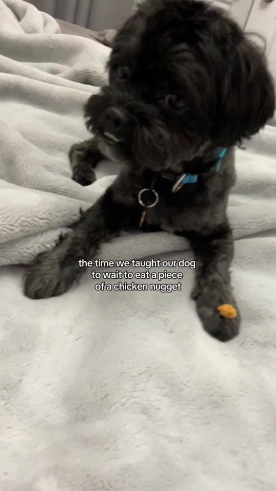 Post 9 by abzhara ✨🌸👑🌷 on TikTok (video)