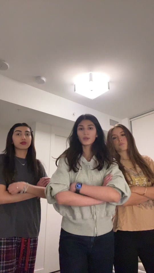 Post 6 by Adeen on TikTok (video)