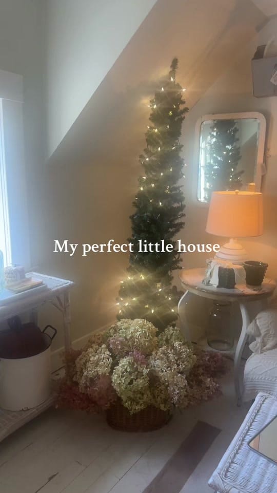 Post 9 by Skye Natasha Lintott on TikTok (video)