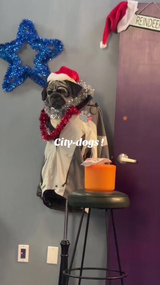 Post 5 by Skye Natasha Lintott on TikTok (video)