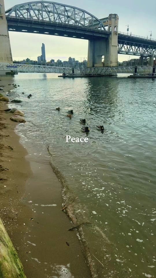 Post 6 by Skye Natasha Lintott on TikTok (video)