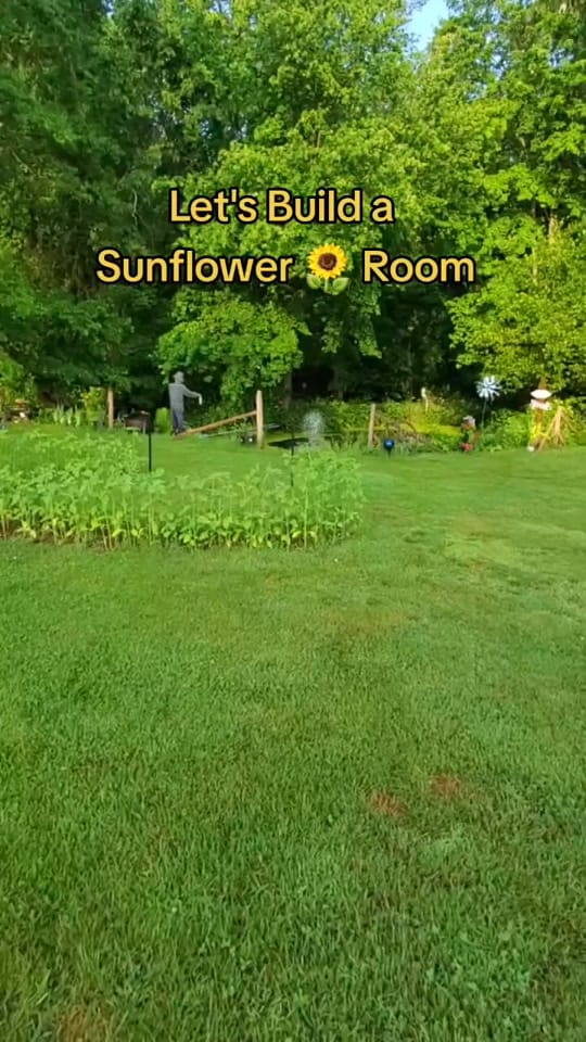 Post 10 by FarmerSteve727 on TikTok (video)
