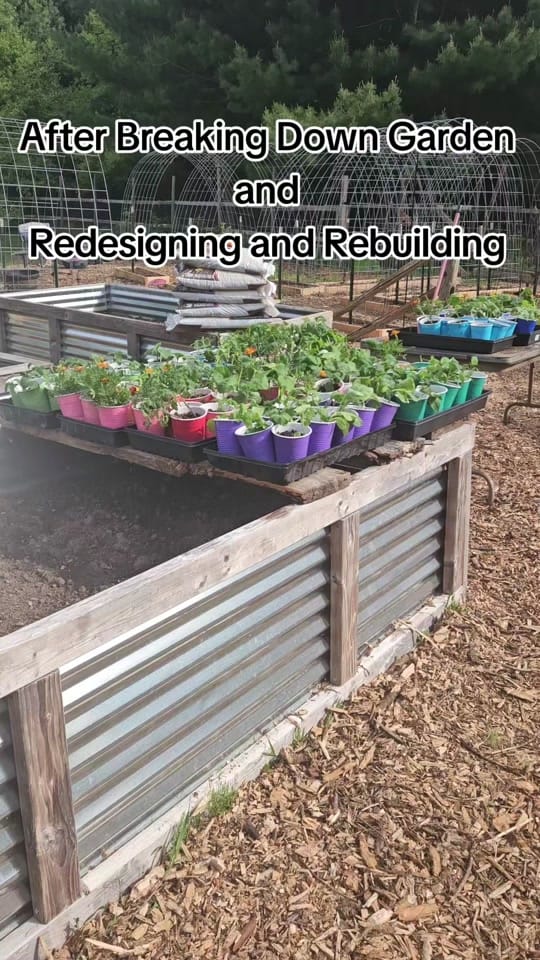 Post 6 by FarmerSteve727 on TikTok (video)