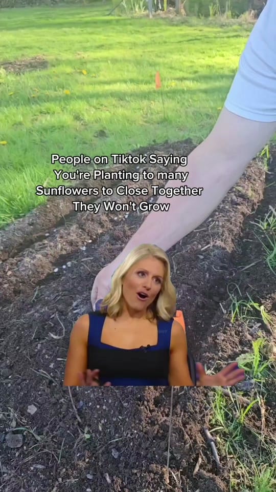 Post 4 by FarmerSteve727 on TikTok (video)