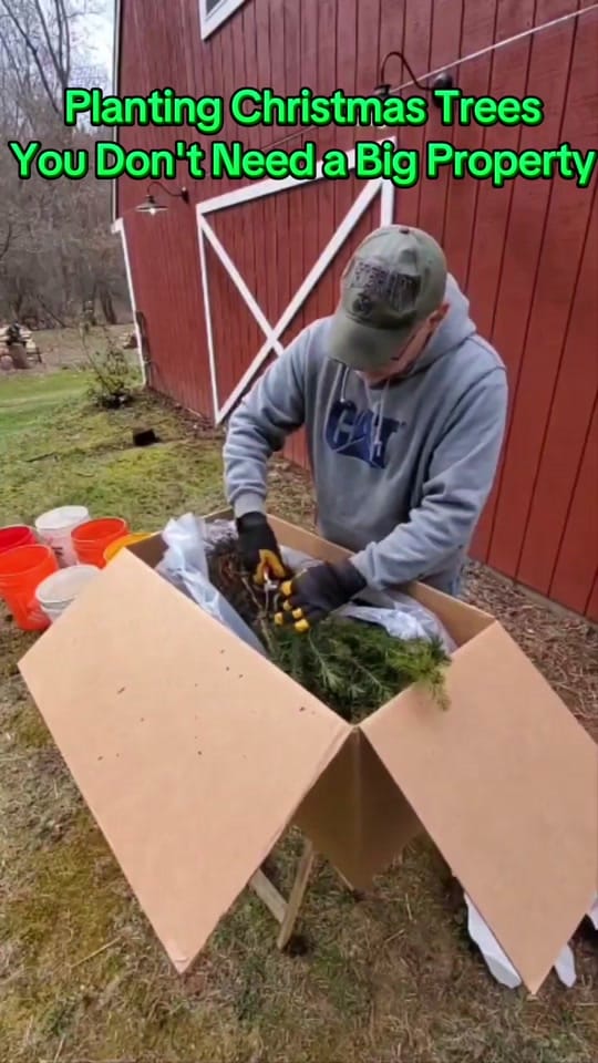 Post 7 by FarmerSteve727 on TikTok (video)