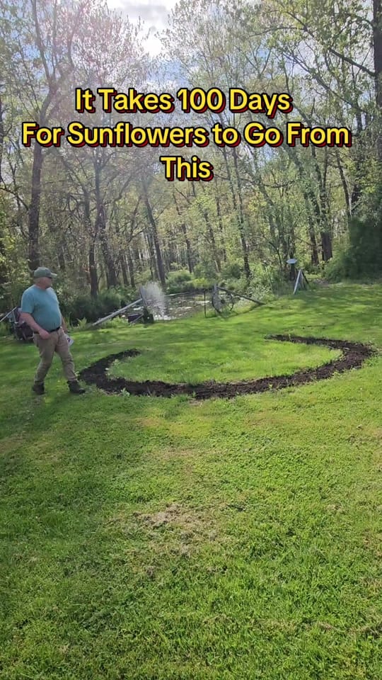 Post 5 by FarmerSteve727 on TikTok (video)