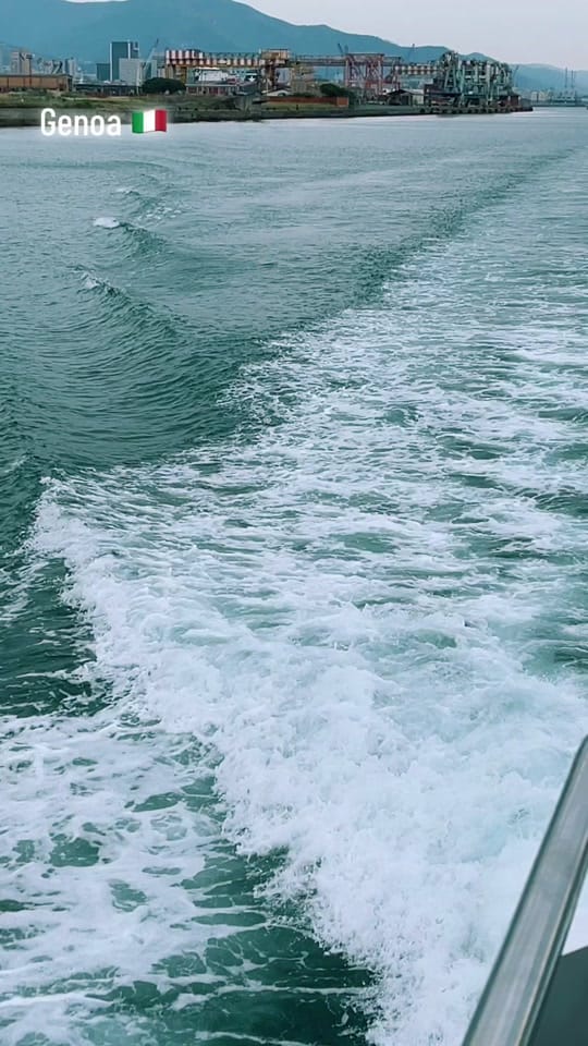 Post 4 by RaheelTheWanderer on TikTok (video)