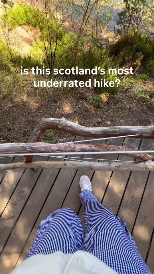 Post 8 by rachel zay on TikTok (video)