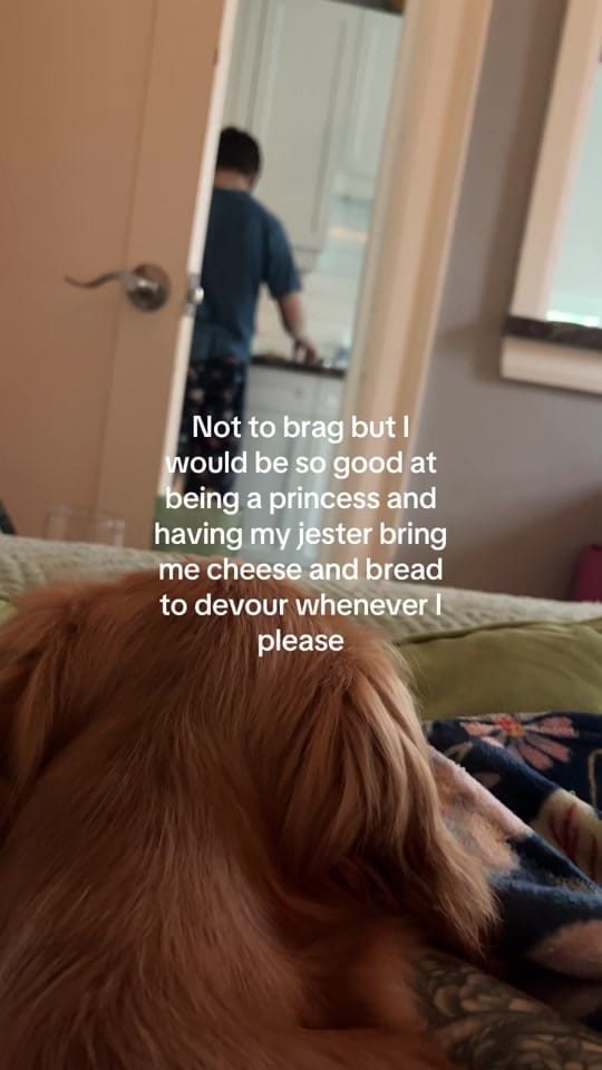 Post 4 by Emily Lusty ✨ on TikTok (video)