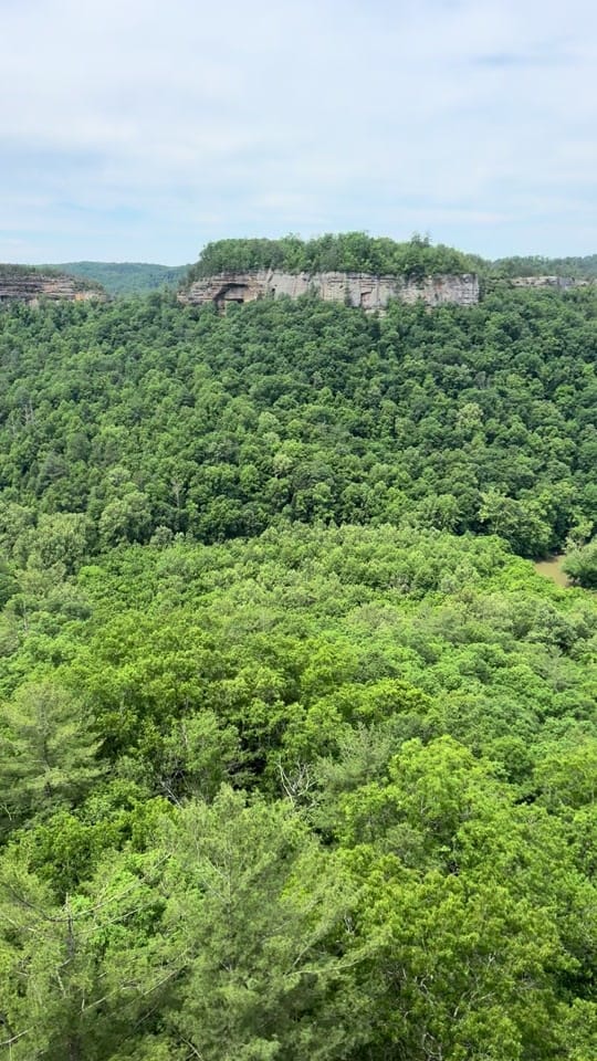 Post 10 by Exploring with Melanie on TikTok (video)