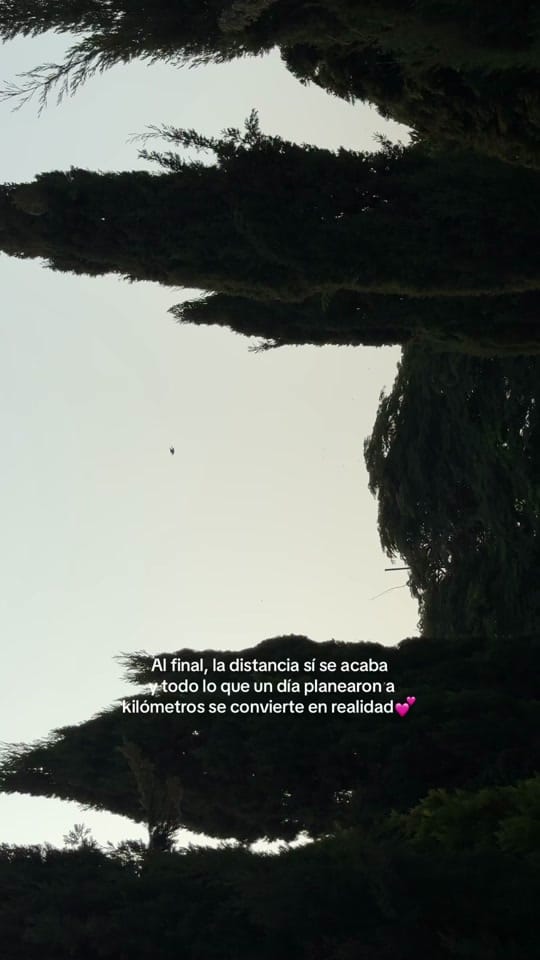 Post 7 by Analucia Diaz on TikTok (video)