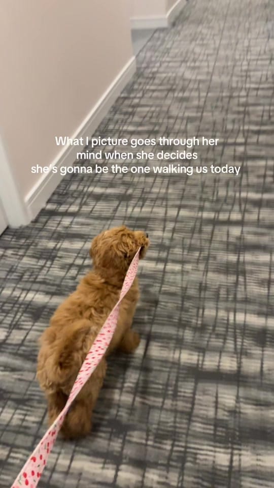 Post 3 by rachel 🍒 on TikTok (video)
