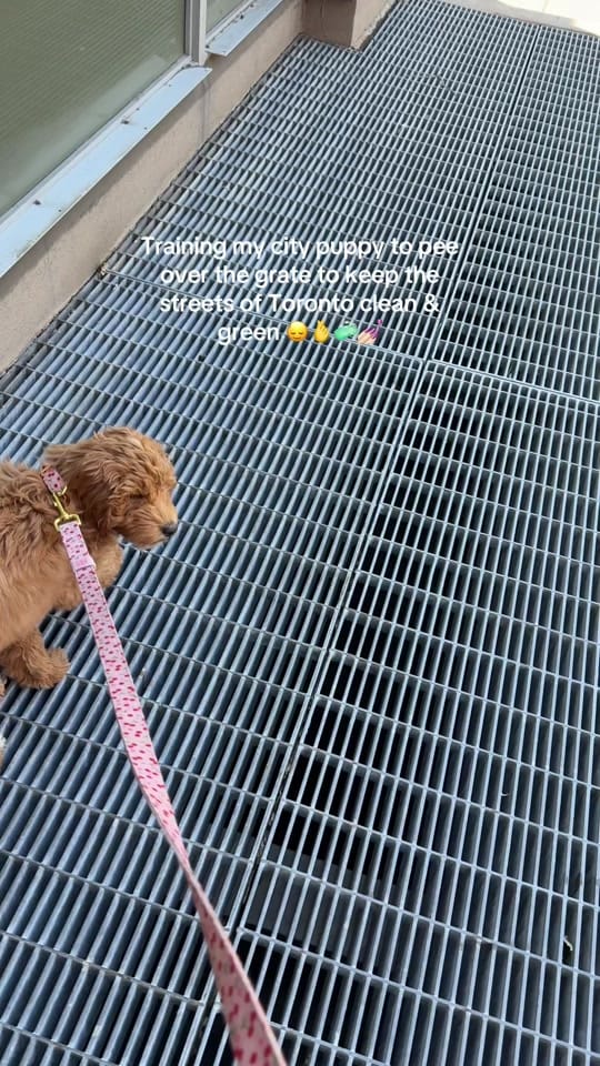 Post 1 by rachel 🍒 on TikTok (video)