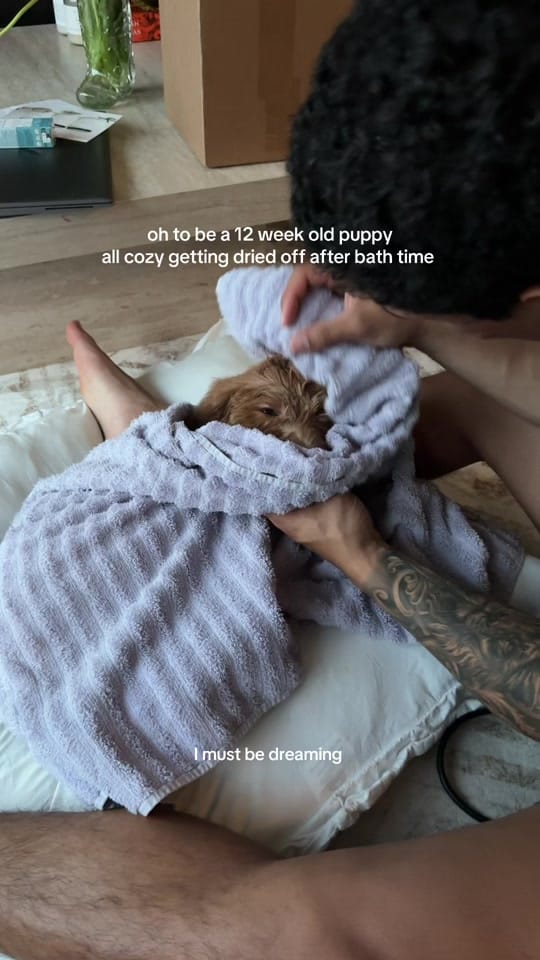 Post 6 by rachel 🍒 on TikTok (video)