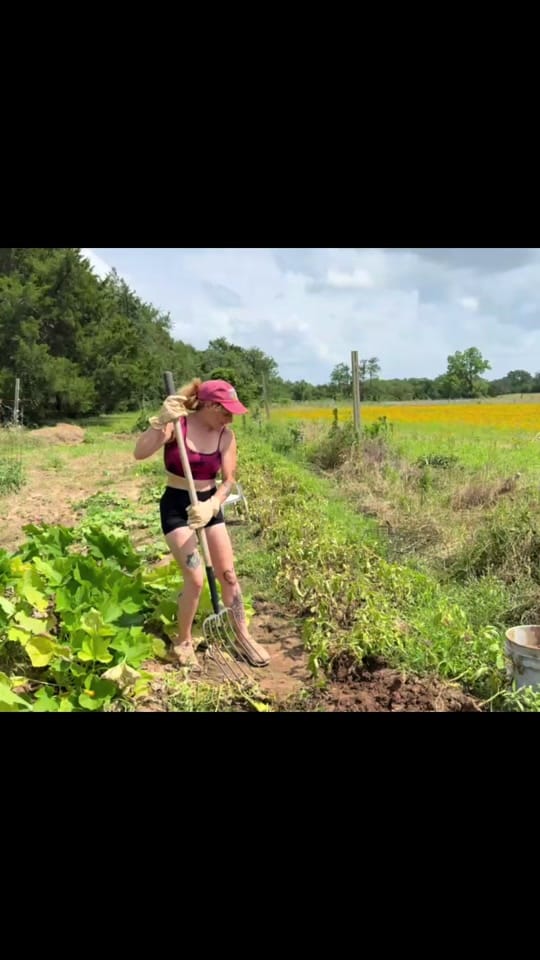 Post 4 by Just Jacy on TikTok (video)
