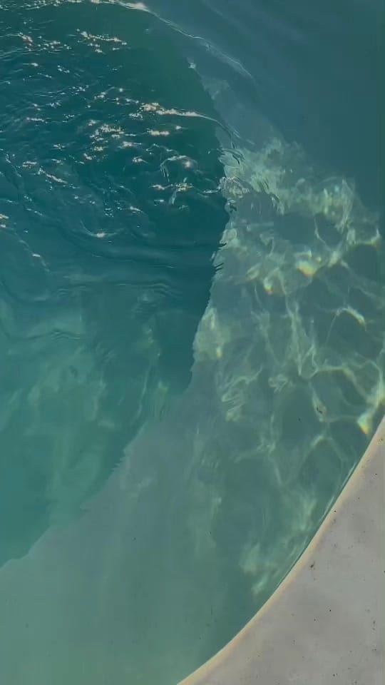 Post 8 by Ian Stevenson on TikTok (video)