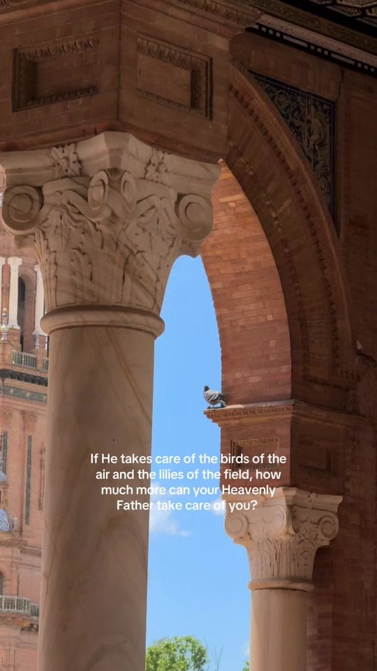 Post 4 by nicole | faith & fashion on TikTok (video)