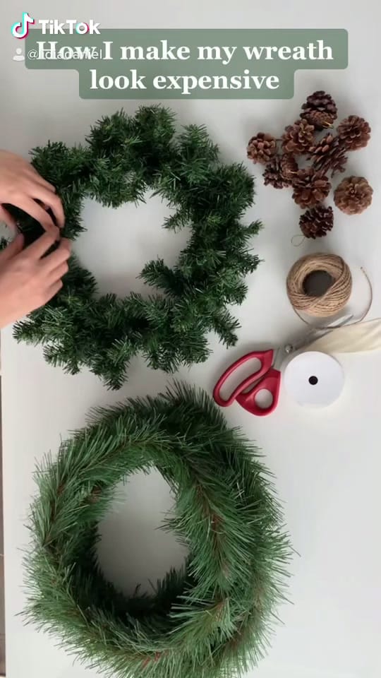 Post 9 by Lidia Daniel 🐆 on TikTok (video)