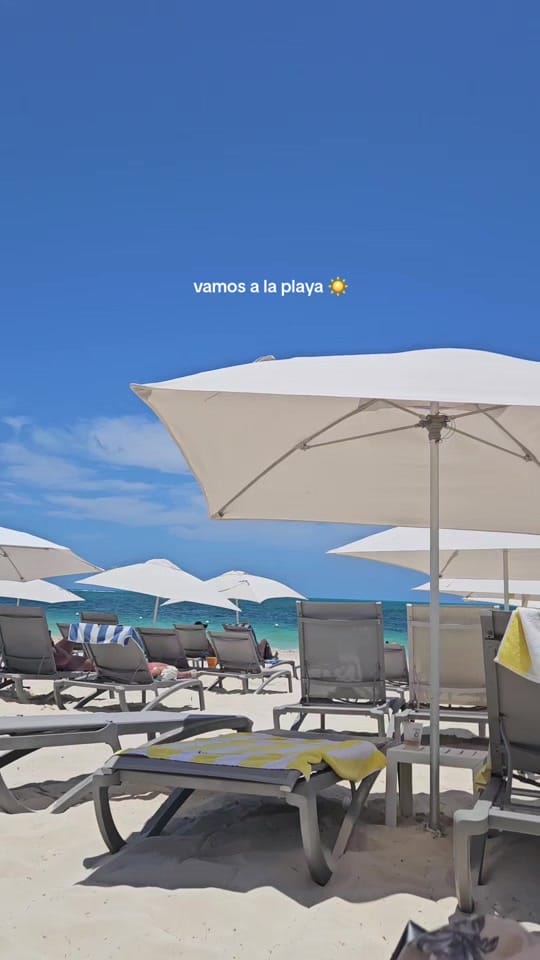 Post 5 by joanna on TikTok (video)