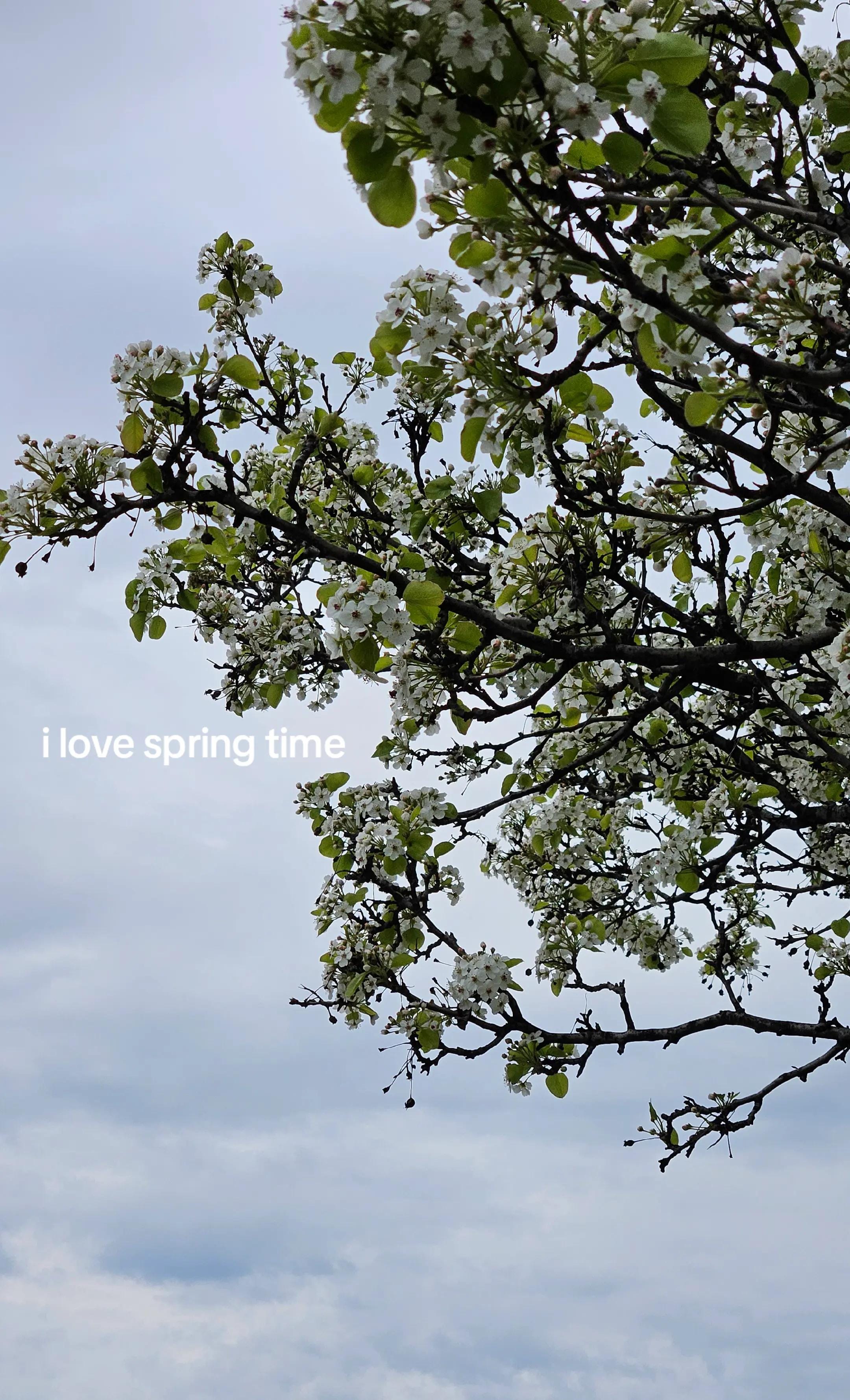 Post 8 by joanna on TikTok (video)