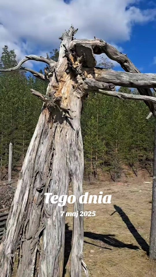 Post 7 by Aleksandra Patrycja on TikTok (video)