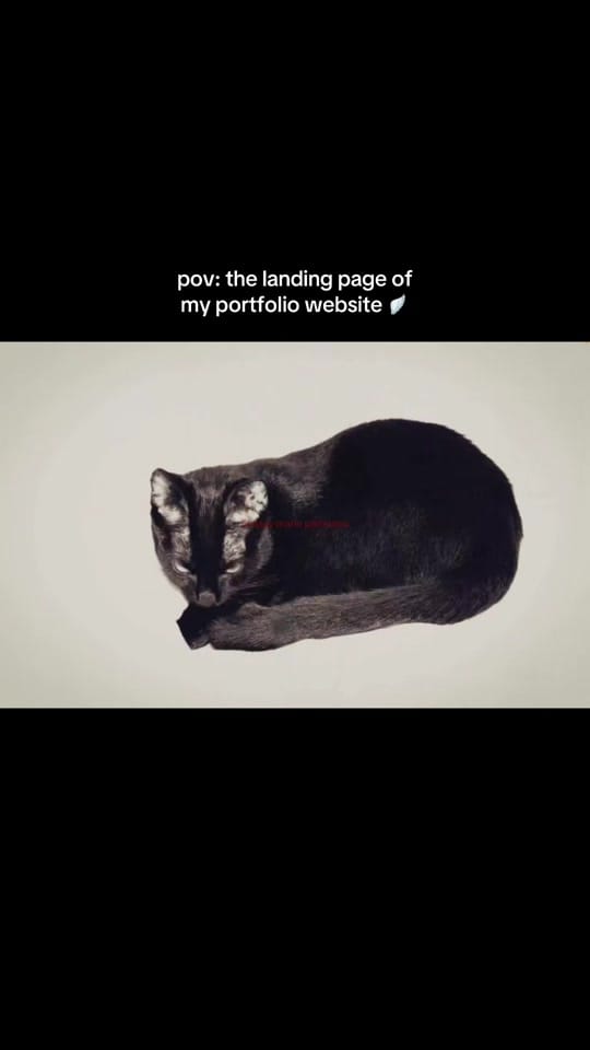 Post 5 by linz marie <3 on TikTok (video)